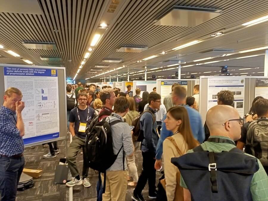 生物力學研究現況與發展