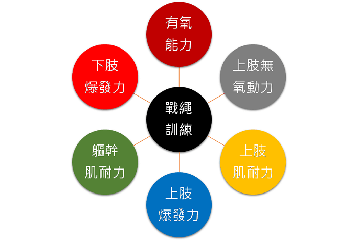 全身訓練的利器－戰繩訓練的方法與多元效果