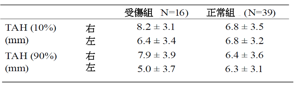 橫弓的重要性不亞於縱弓