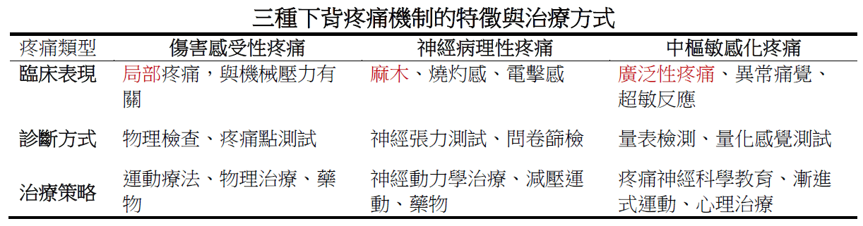 下背痛的疼痛機制分類與治療策略
