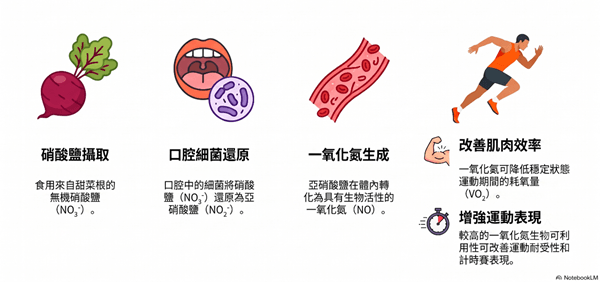 甜菜根汁真的能提升運動表現嗎？