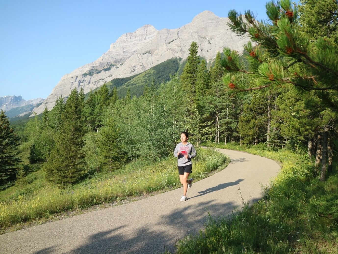 國際生物力學學會研究趨勢