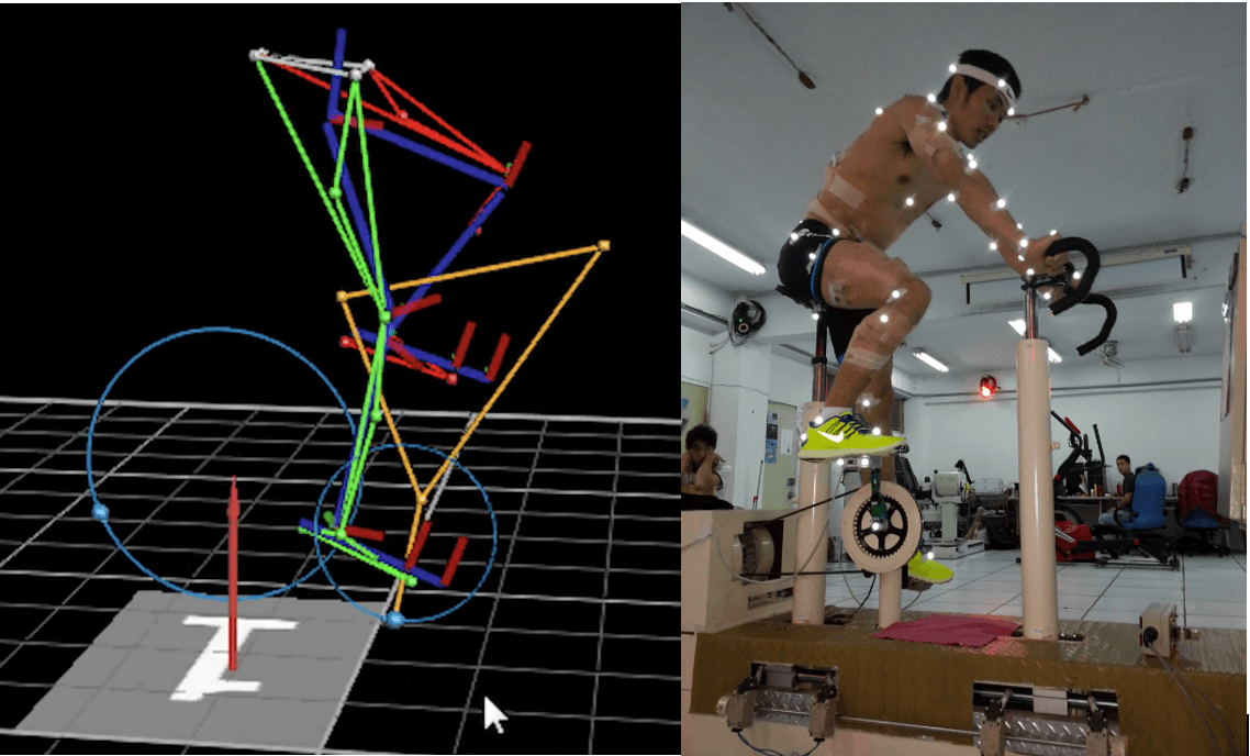 影片在運動科學之應用