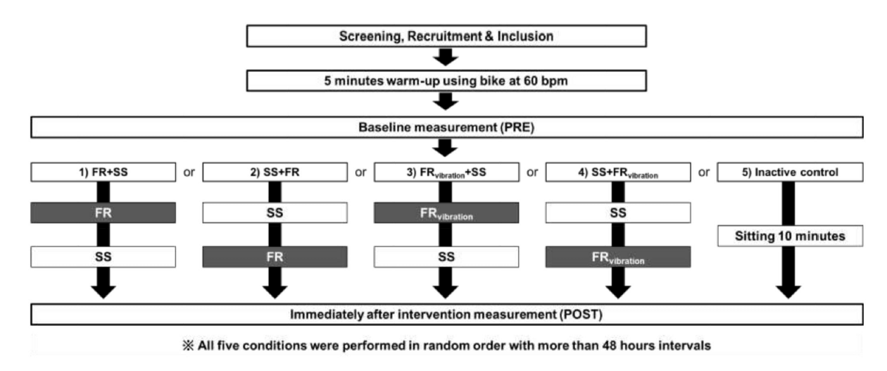 運動前該如何使用滾筒進行熱身?