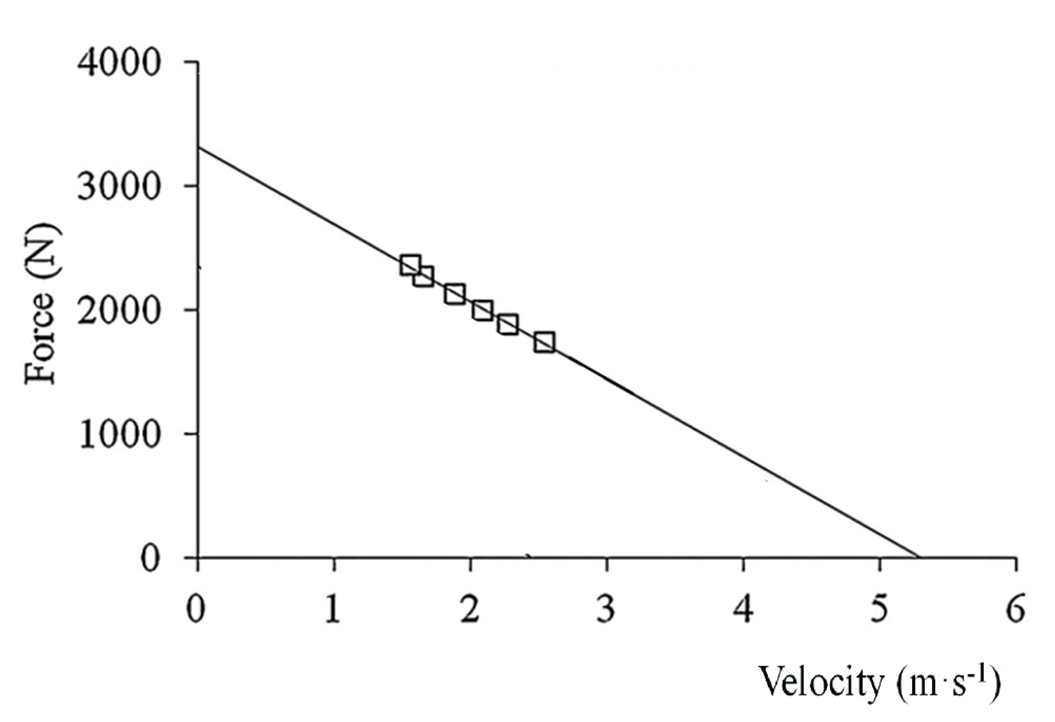 垂直跳評估下肢肌力