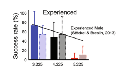虛擬實境(VR)可以應用於投籃訓練嗎?