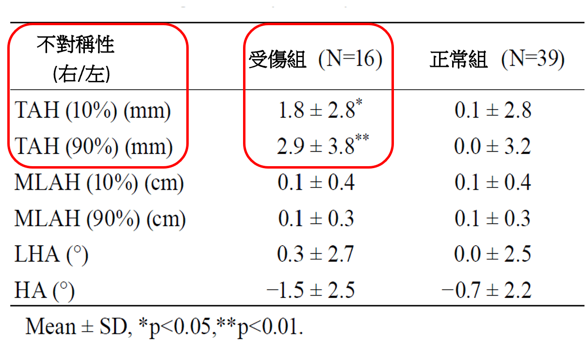 橫弓的重要性不亞於縱弓