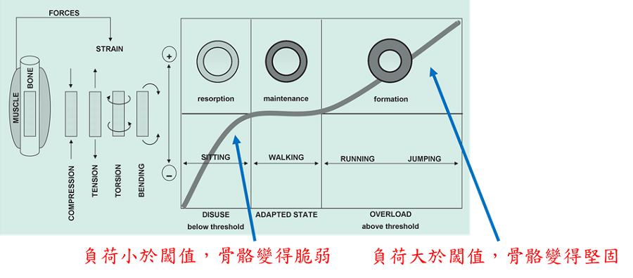 The power of power: 爆發力的好處?