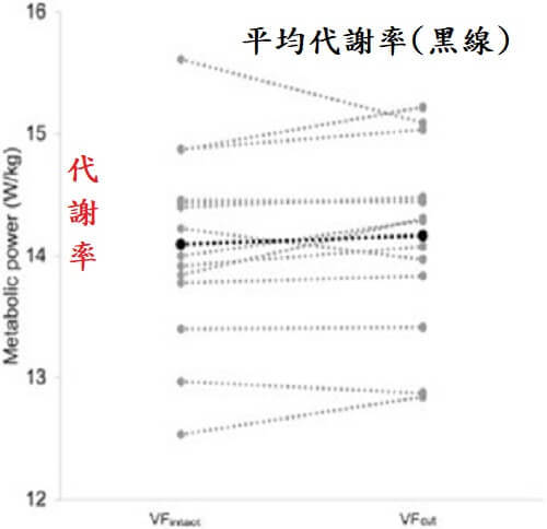 碳纖維板會影響跑步經濟性嗎?