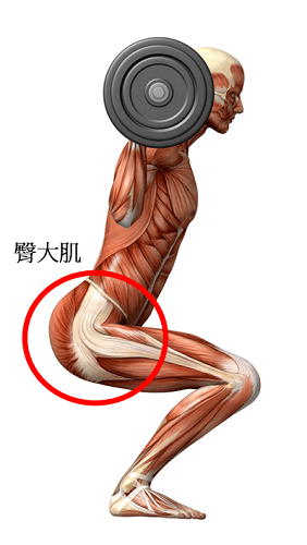 蹲低一點,效果更好!