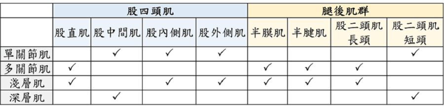 自行車運動應注意的肌力訓練