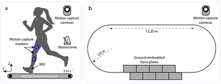 跑步傷害防護新幫手：穿戴式感測器偵測過度跨步