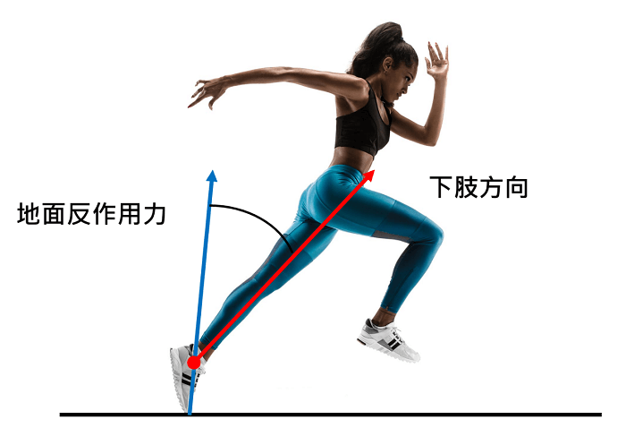 何謂運動鞋彈性？何謂彎曲剛性？