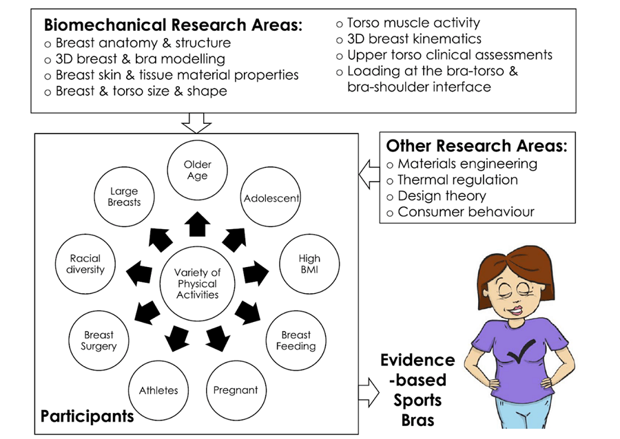 運動內衣的設計與需求